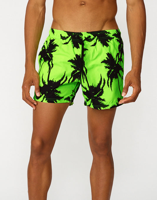 COSTUME DA BAGNO CORTO VITA ELASTICATA MULTIPALM