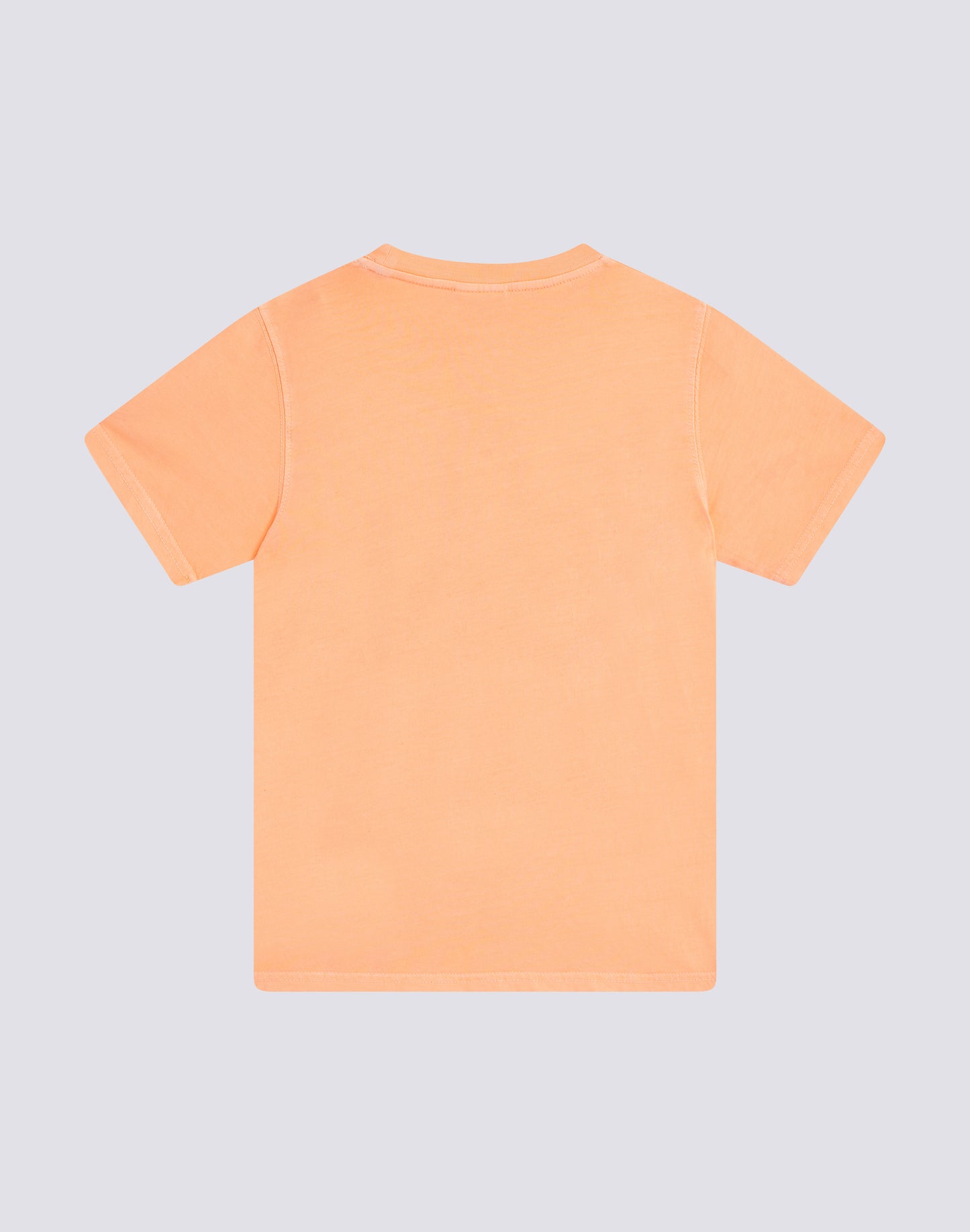 GARMENT-DYED T-SHIRT WITH CAMOU PRINT LOGO