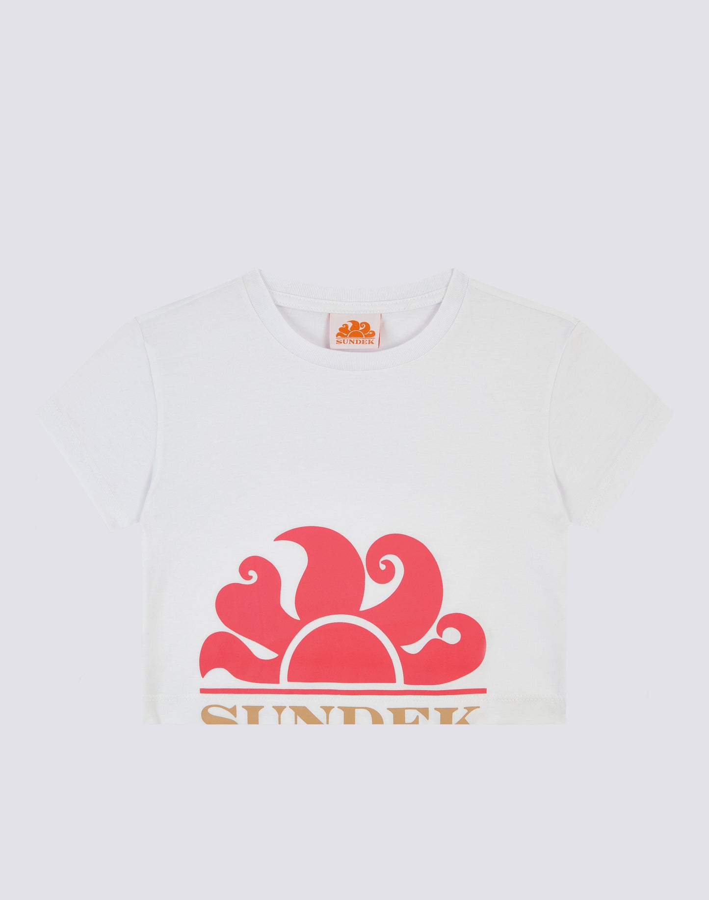 MINI CAMISETA CROP