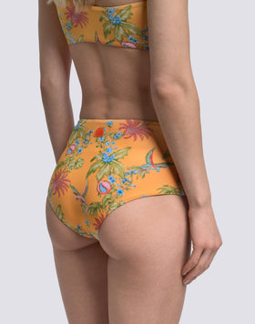 IPANEMA - SLIP CULOTTE À TAILLE HAUTE IMPRIMÉ SWEET PARROT