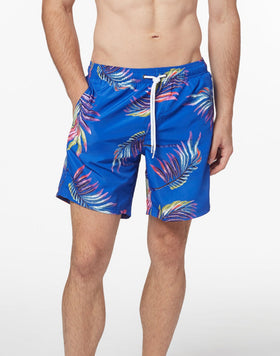 FLYING COLORS PRINT BOARDSHORT