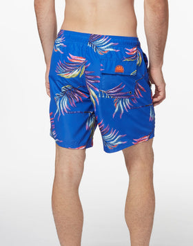 FLYING COLORS PRINT BOARDSHORT