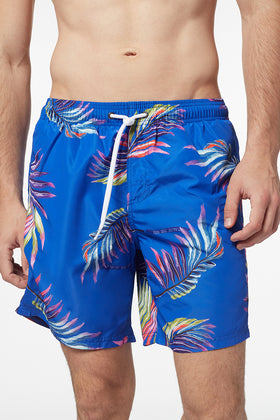 FLYING COLORS PRINT BOARDSHORT